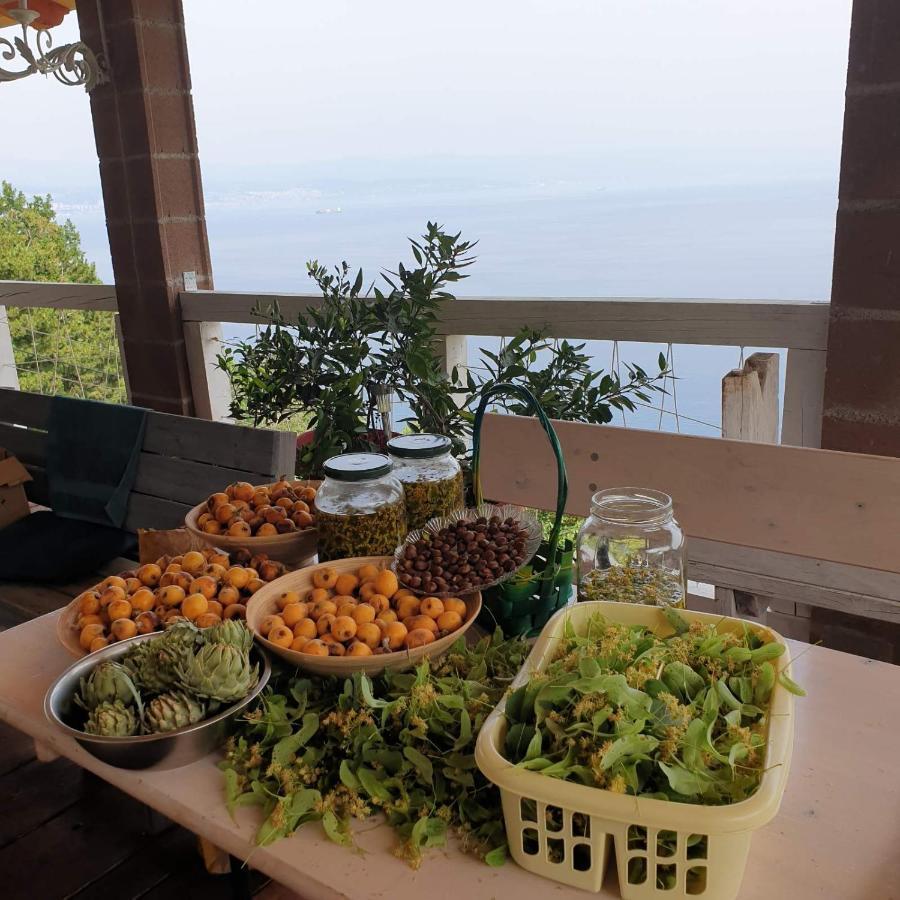 Mary'S Garden Villa Tulisevica Екстериор снимка