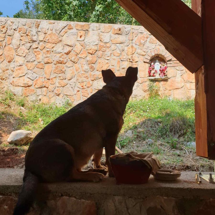 Mary'S Garden Villa Tulisevica Екстериор снимка