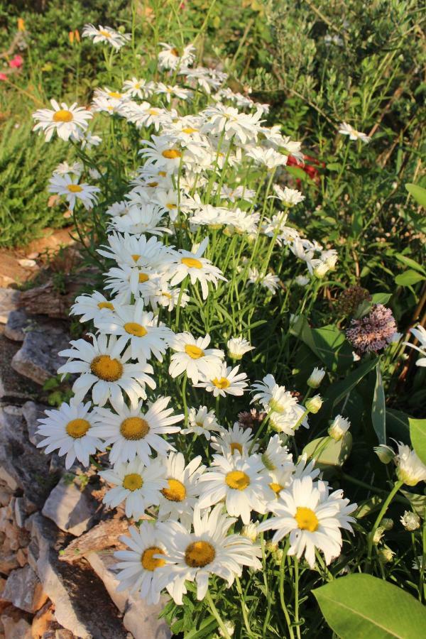 Mary'S Garden Villa Tulisevica Екстериор снимка