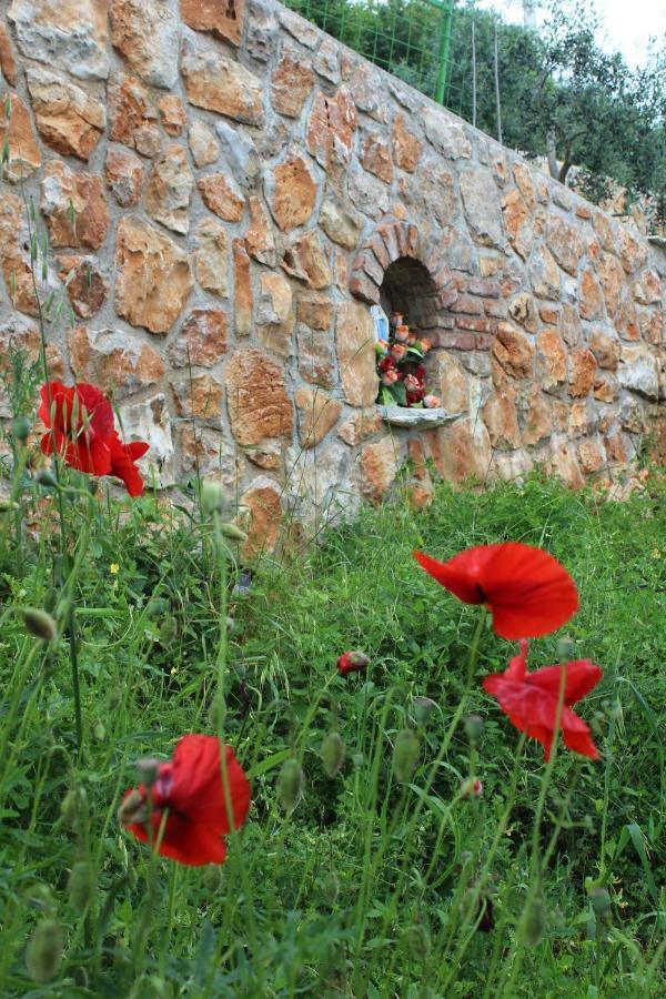 Mary'S Garden Villa Tulisevica Екстериор снимка