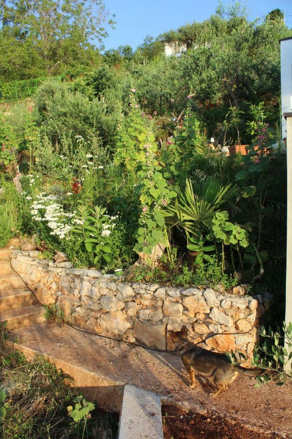 Mary'S Garden Villa Tulisevica Екстериор снимка